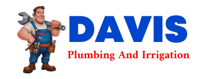 Trusted plumber in VALRICO